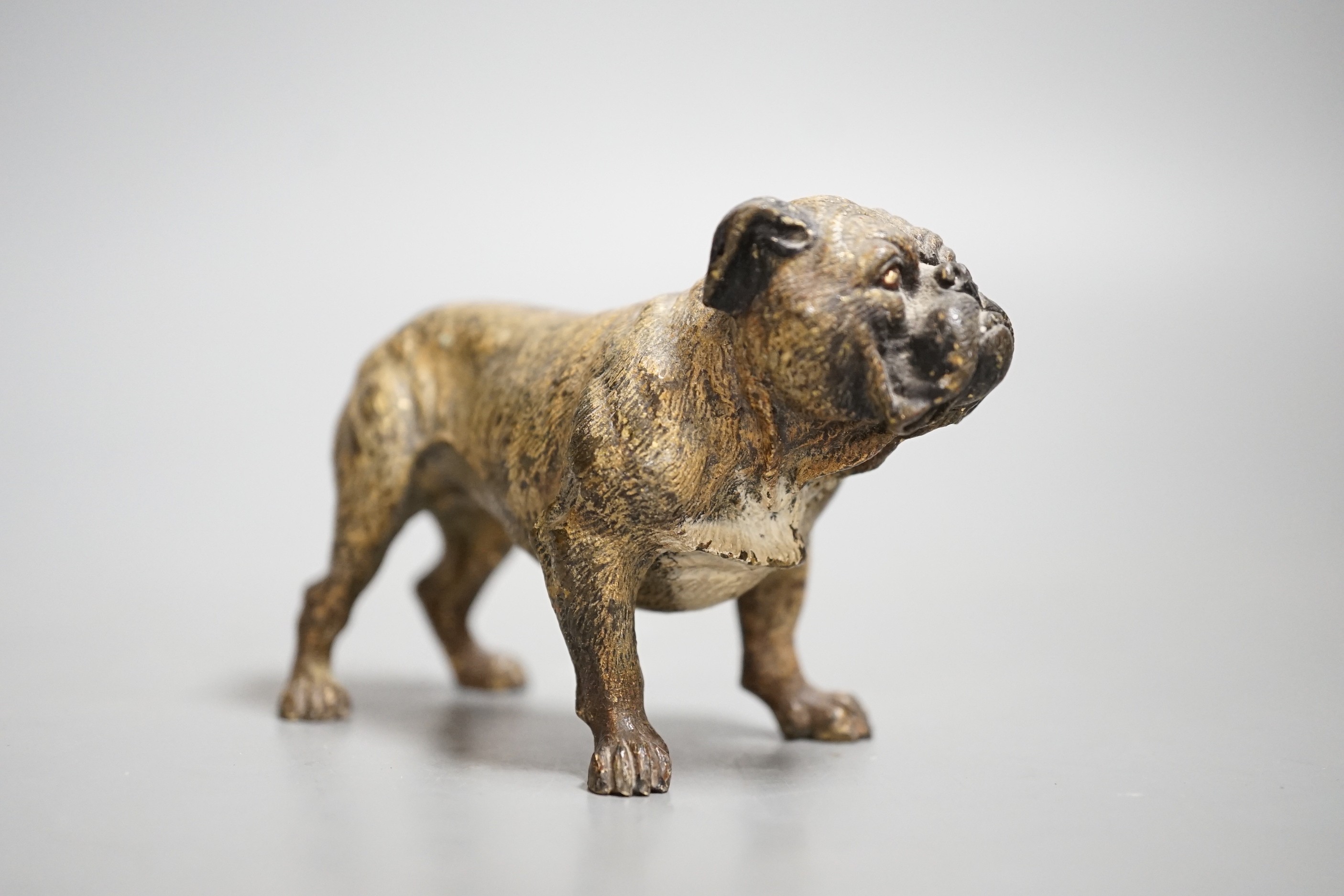 Two Austrian cold painted models of bulldogs, stamped Geschutzt. 10cm long